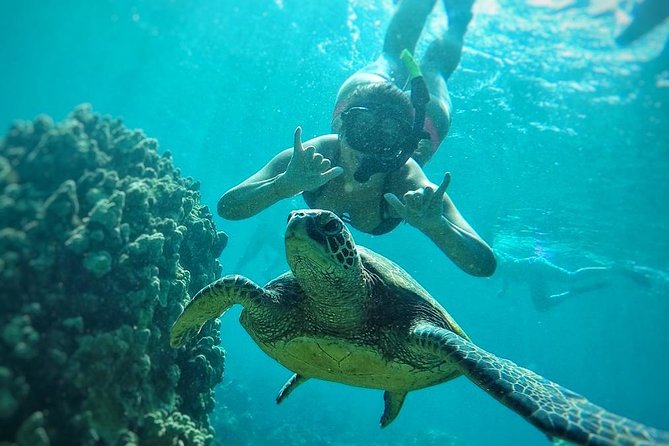 West Maui Half Day Snorkel from Ka’anapali Beach - Who should book this Ka’anapali snorkel?