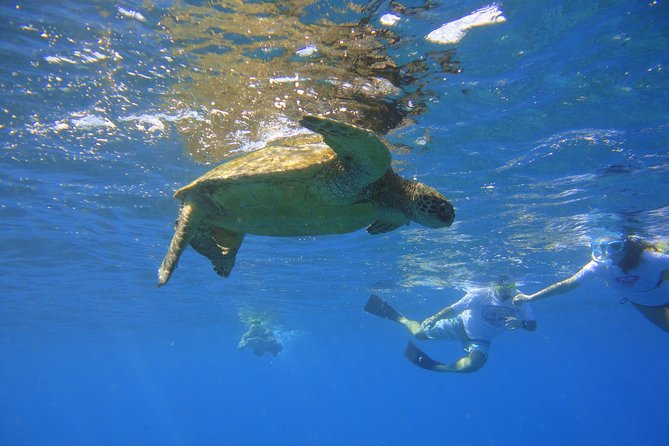 West Maui Snorkeling Experience by Boat from Ka'anapali - Leaving Kaanapali Beach at 9:00 a.m.