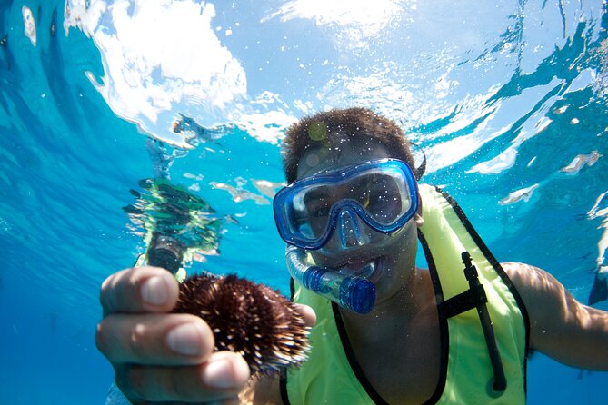 West Oahu Dolphin Watch and Snorkel Sail with Lunch - Breakfast, wraps, and the open bar