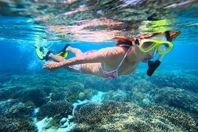 West Oahu Dolphin Watch and Snorkel Sail with Lunch - Crew, comfort, and the family factor