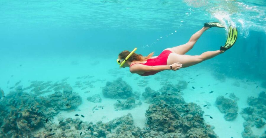 West Oahu: Turtles, Dolphins, and Snorkeling Tour with Lunch - Quick reasons to consider this cruise