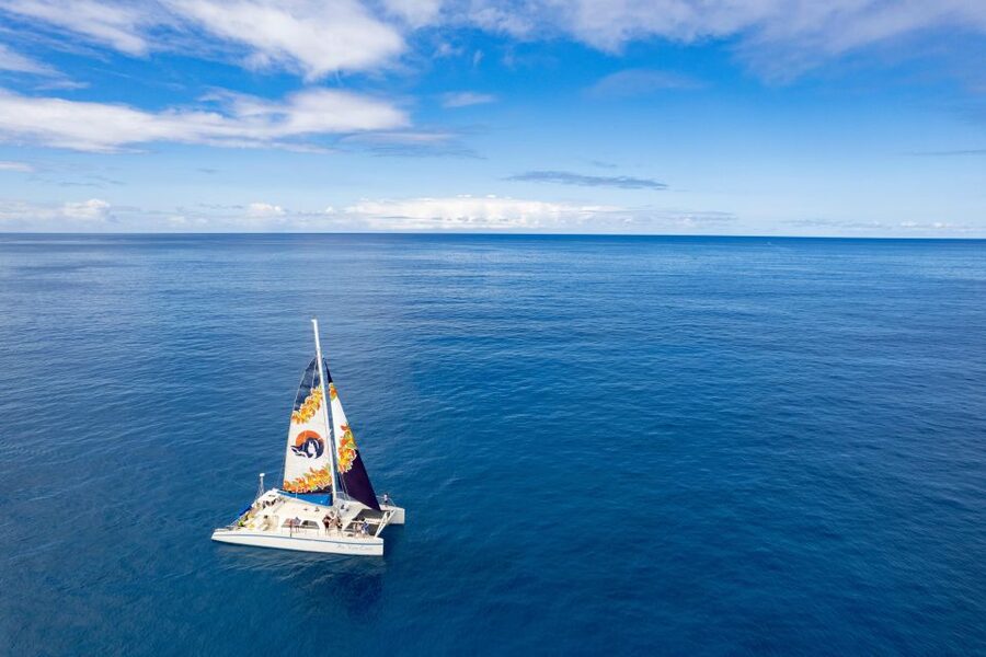 West Oahu: Turtles, Dolphins, and Snorkeling Tour with Lunch - Should you book it?