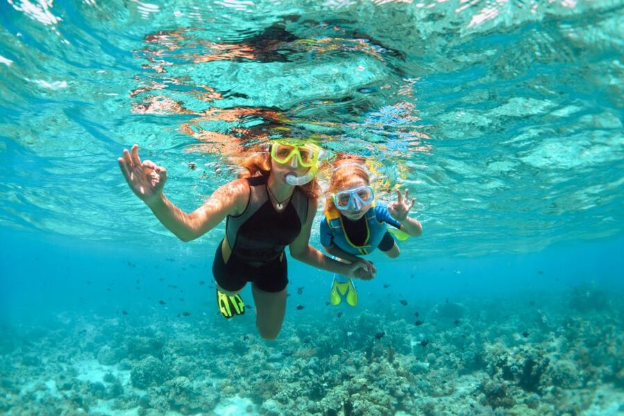 West Oahu: Turtles, Dolphins, and Snorkeling Tour with Lunch - Lunch, cocktails, and time on deck