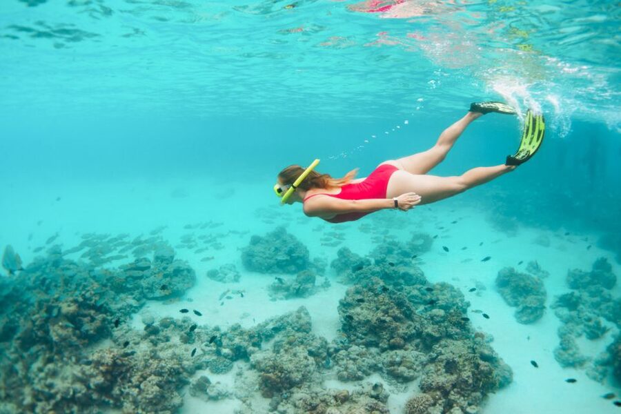 West Oahu: Turtles, Dolphins, and Snorkeling Tour with Lunch - Who should book this West O‘ahu cruise