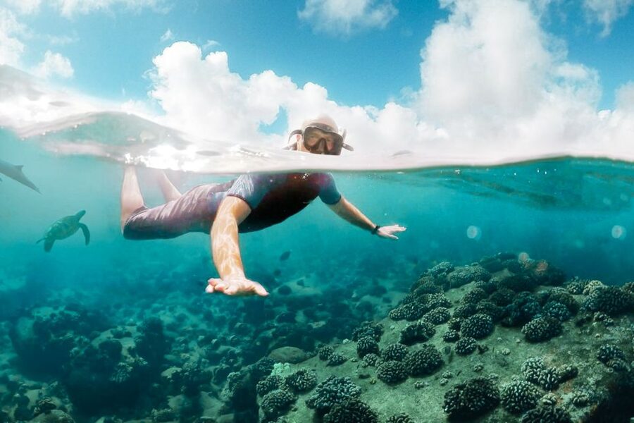 West Oahu: Turtles, Dolphins, and Snorkeling Tour with Lunch - Practical details before you reserve