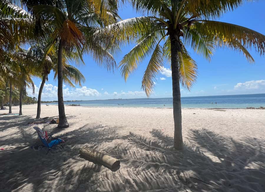 West Palm Beach: Beginner Snorkel Tour with Turtles & Videos - Key points at a glance