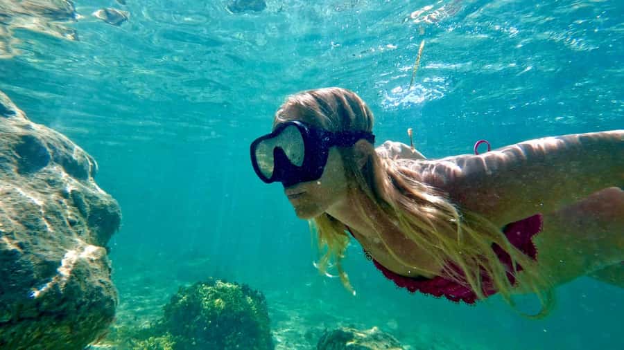 West Palm Beach: Beginner Snorkel Tour with Turtles & Videos - What happens after the three-foot practice session