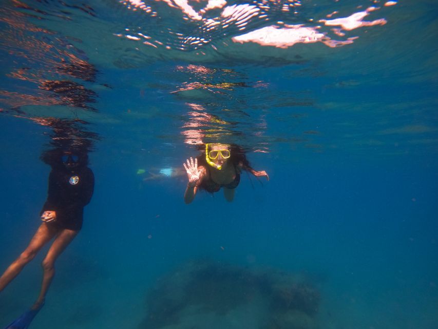 West Palm Beach: Blue Heron Bridge Guided Snorkeling Tour - Why Blue Heron Bridge is such a good snorkeling site