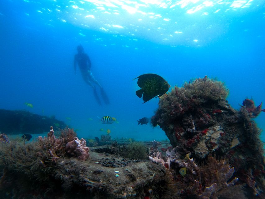 West Palm Beach: Blue Heron Bridge Guided Snorkeling Tour - The five-minute briefing and equipment fitting