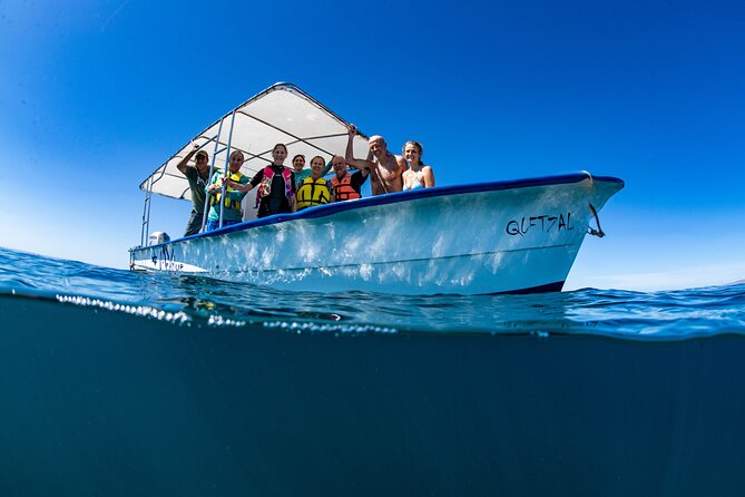 Whale Shark snorkeling tour in a reduced group with local marine biologist - What makes this La Paz whale shark trip worth considering