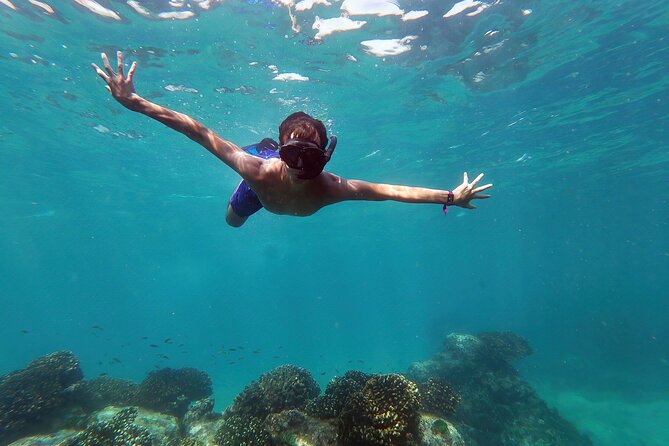 Whale Watching & Snorkeling Combo in Los Cabos with Photos Included - Why this Cabo combination works