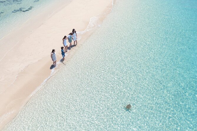 Whitehaven Beach and Hill Inlet Lookout Snorkeling Cruise - Two reef snorkel stops, with room for beginners