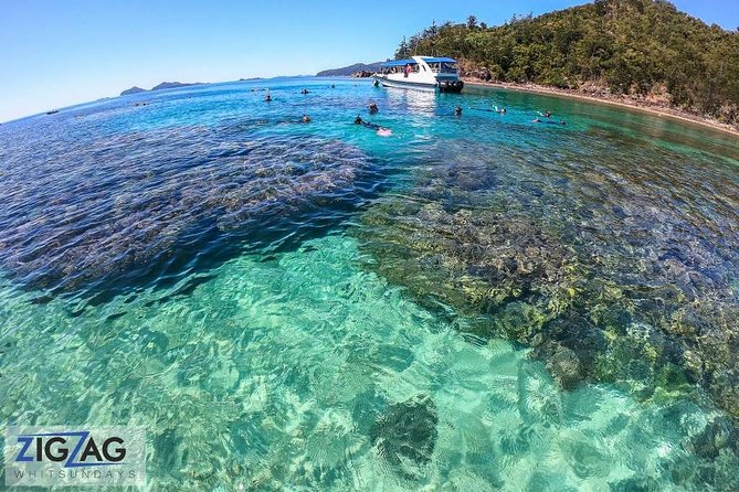 Whitehaven Beach Tour: 2 Options - All Day Beach Or Snorkel - Buffet lunch and snacks make the long day easier
