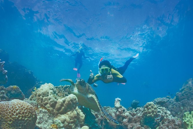 Whitsunday Islands Sail, SUP & Snorkel Tour- Small group - SUP boards and the clear-bottom kayak