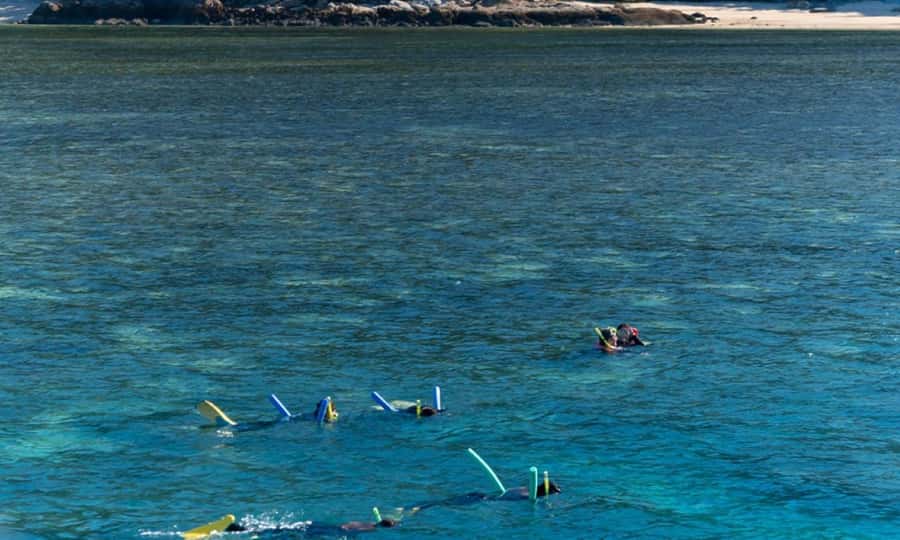 Whitsunday: Whitsunday Islands Tour with Snorkeling & Lunch - Crew style, safety, and the small-boat advantage
