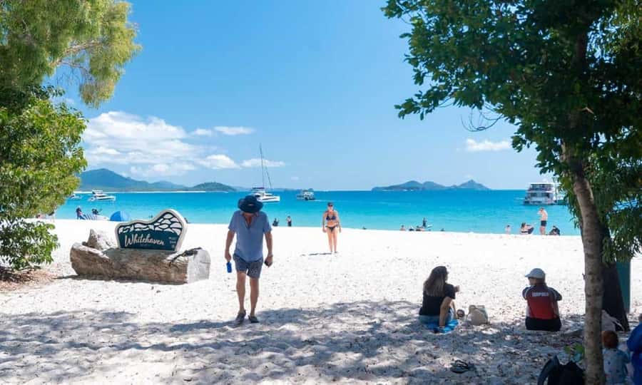 Whitsunday: Whitsunday Islands Tour with Snorkeling & Lunch - Who should book this Whitsunday tour?