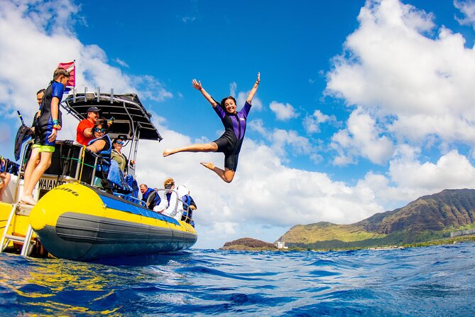 Wild Dolphin Watching and Snorkel Safari Off West Coast of Oahu - Why the Waianae Coast makes a good wildlife base