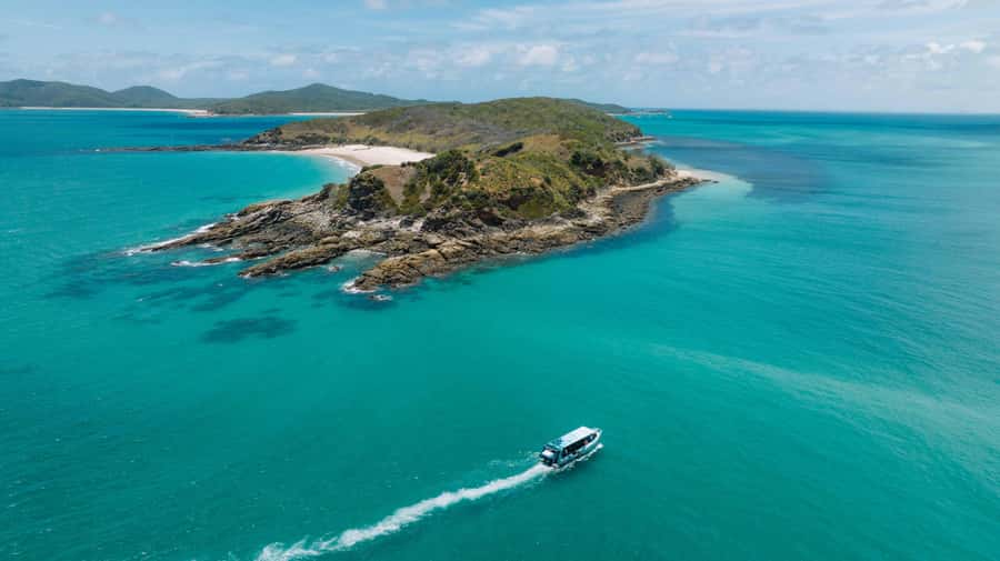 Yeppoon: Great Keppel Island Fast Boat Snorkel & Lunch Tour - Snorkeling with fish, even where coral is tired