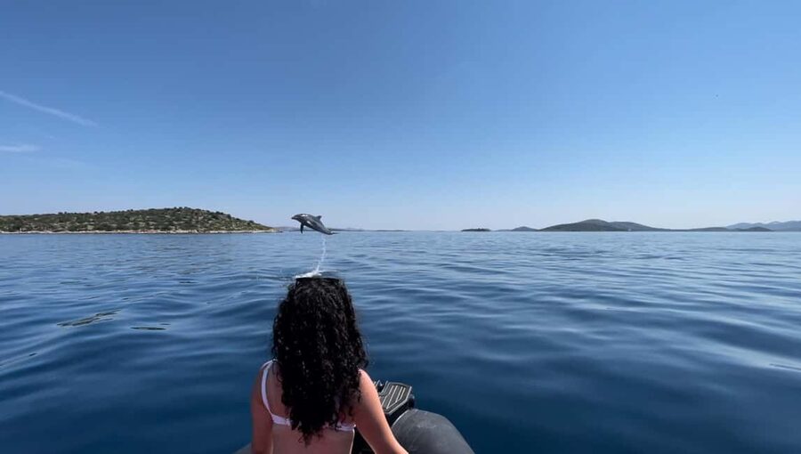 Zadar: Island Luxury Speedboat Tour with Snorkeling - The middle stop is built around swimming and clear water
